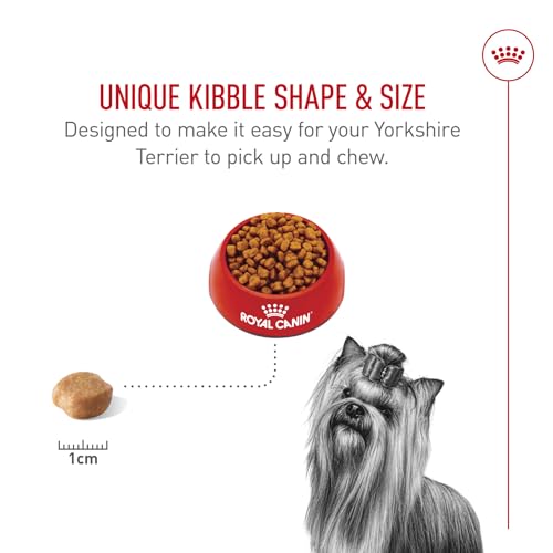 Royal Canin Breed Health Nutrition Yorkshire Terrier Adult Dry Dog Food, 10 lb Bag