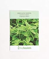 Algopix Similar Product 6 - Shop Succulents Oregano Seeds Pack of