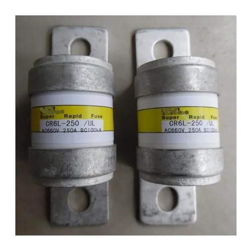 1 �q���[�Y CR6L-250/UL 600V aR CR6L-200 CR6L-300 CR6L-200G CR6L-200S CR6L-250S CR6L-300G CR6L-300SUL(CR6L-250 UL)