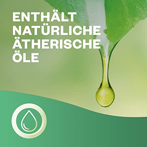 Air Wick Active Fresh – Starter Set – Aeorosolfreier, automatischer Lufterfrischer – Raumduft Jasminblüte – 2 x 228 ml Nachfüller + Gerät