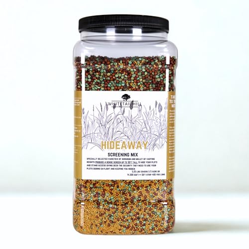 Whitetail Hill Hideaway Food Plot Seed Mix for Deer 1/3 Acre Sorghum and Millet Dense Screen Up to 12ft Tall Hide Your Plots for Stand Access Provides Security to Use Your Plots During Daylight