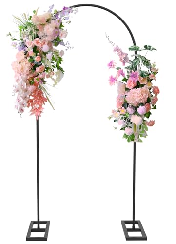 Queension 6Ft Metal Arch Stand
