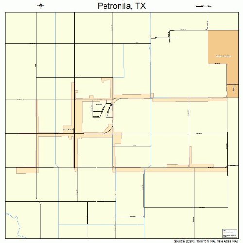 Large Street & Road Map of Petronila, Texas TX Printed poster size