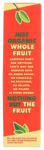 Image of SOLELY - Organic Mango Whole Fruit Gummies (5 Bags per Box) - Real Fresh Fruit - Healthy Snacks for Adults & Kids - Non GMO, Vegan Snacks, Shelf Stable - 5 Bags (3.5 oz) (Pack of 2)