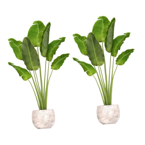 Papier peint auto-adhésif décor de la chambre plantes - 8