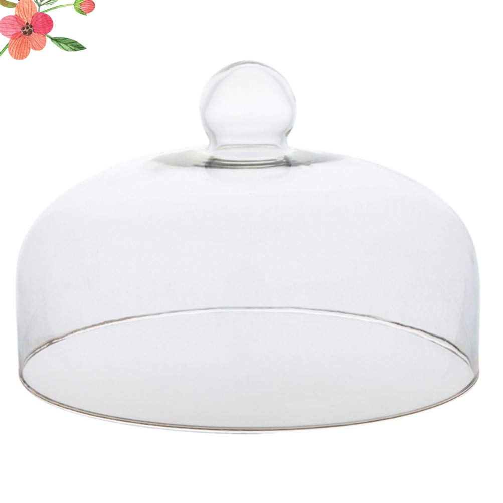 HEMOTON Cloche en Verre Transparente - 21 x 21 cm - Cloche à gâteau - Cloche à Fruits - pour Pique-, Camping, Noël, Nouvel an, fête
