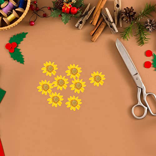 TEHAUX 2 sets flores secas para manualidades 48 pcs miniatura 4