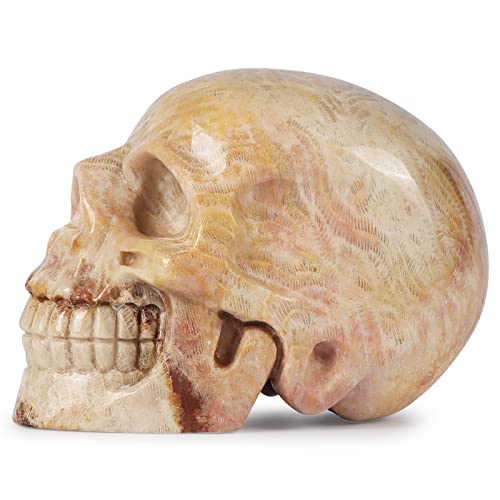 Hxswkk Crystal Skull Sculpture 3 Inch Hand-Carved Skull Decor Human Head Skeleton Skull Statues And Figurines Home Gifts Chrysanthemum #TOP3