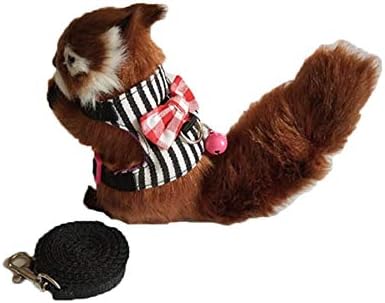 Stock Show Small Animal Outdoor Walking Vest Harness and Leash Set with Cute Bowknot and Clear Bell Decor Chest Strap Harness for…