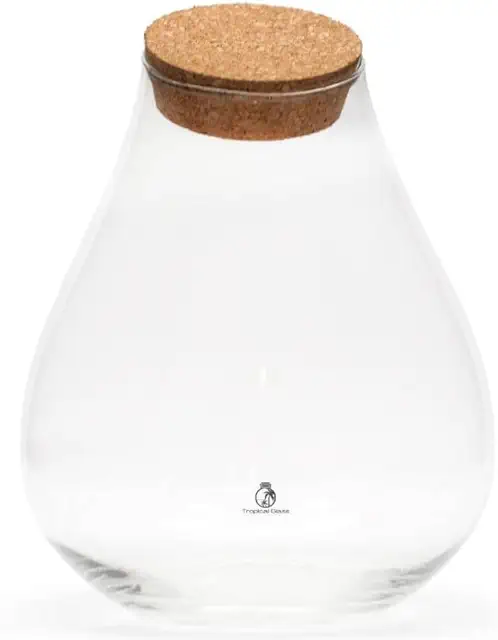 Teardrop Glass Terrarium Container with Cork Lid - 25cm Indoor Plant Vase