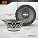 PRV AUDIO 10MR650A 10 Inch Midrange Speaker, 8 Ohm, 650 Watts, 97.5 db, 2.5 in Voice Coil Alto Series PRO Audio Mid Range Loudspeaker (Single)