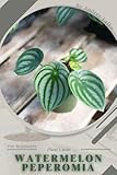 Watermelon Peperomia: Plant Guide