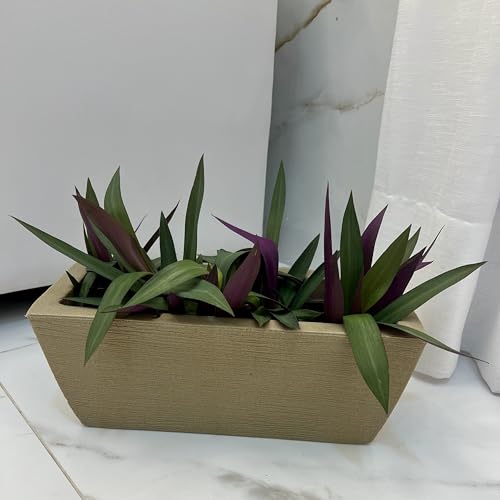 VASO POLIETILENO JARDINEIRA DECORATIVO P/PLANTAS/JARDINS/ESCRITÓRIOS TEXTURA GRAFIATO (BEGE)