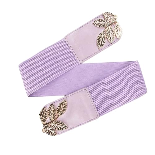 HBJWOV Women's Waist Cover Alloy Leaf Buckle Elastic Band Versatile Dress Shirt with Clothing Belt(D)