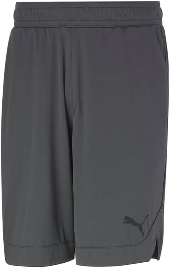 Puma Mens Rtg Shiny Fabric 10" Shorts (Available in Big & Tall)