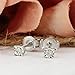 Diamond Wish Sterling Silver Round Diamond Stud Earrings (0.08 cttw) 4-Prong Basket Set, Push-Back Clasps