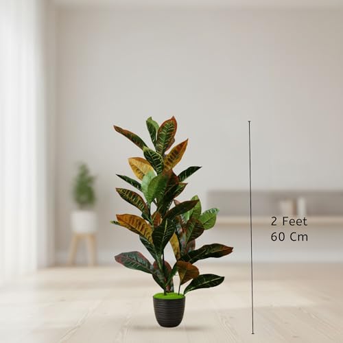 Image of Kayra Decor 2 Feet Artificial Croton Plant with Pot for Home Decor