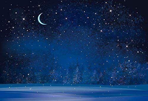 Yeele 15x10ft Winter Night Snowfall Snowflake Photography Backdrops Starry Sky