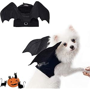 Pet Bat Wings, Disfraz de Halloween, alas de murciélago, Disfraces para Mascotas, Perros medianos