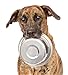 Greendale - 4 Pack - Large (6.75 Cups) - Stainless Steel Metal Dog Bowls - Perfect for Dog Food or Water. Ideal for Use on Floor or for Elevated Stands. Wrong Size? Click to Look at Our Size Options