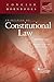 Principles of Constitutional Law (Concise Hornbook Series)