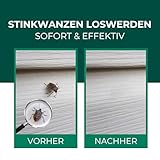 Silberkraft Stinkwanzenspray 500 ml, Effektiver Sofort- und Langzeitschutz gegen Stinkwanzen, ideal für Fenster, Türen, Fassaden und Wohnräume, Mit Repellent-Wirkung für nachhaltige Abwehr