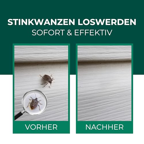 Silberkraft Stinkwanzenspray 500 ml, Effektiver Sofort- und Langzeitschutz gegen Stinkwanzen, ideal für Fenster, Türen, Fassaden und Wohnräume, Mit Repellent-Wirkung für nachhaltige Abwehr