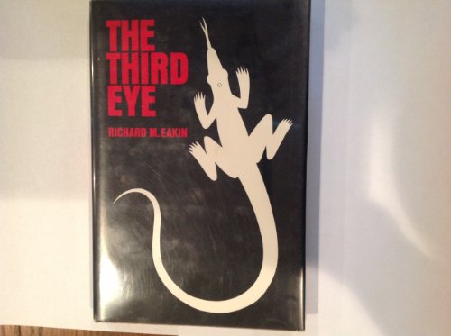Third Eye view 2