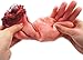 Bezall Body Parts Halloween Props, Bloody Fake Severed Broken Hand for Haunted House Halloween Scary Party Decorations Supplies (Blood Hand)