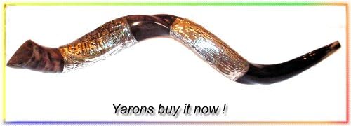 Amazing Christian Silver-plated 33" Yemenite Shofar Kudu