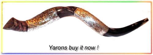 Amazing Christian Silver-Plated 33" Yemenite Shofar Kudu #TOP2