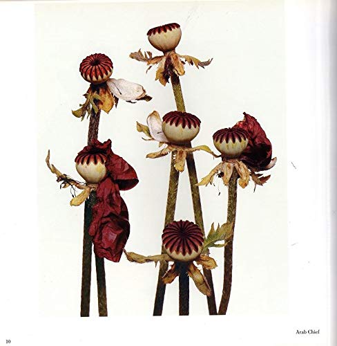 お中元 残暑見舞い 夏 ギフト 当店限定P10倍 【絶版・美品】【FLOWERS