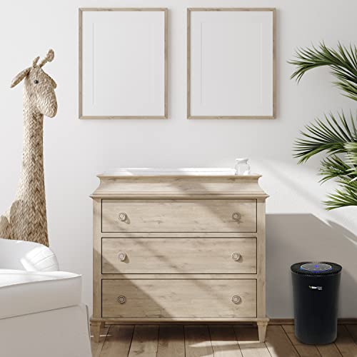 Odorstop Osap5 Hepa Air Purifier For Areas Up To 1000 Sq Ft With H13 True Hepa Filter, Black, Pack Of 4 #TOP4