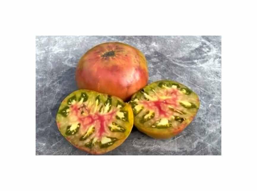 20x Pineapple Noire Black Pineapple Tomato Vegetable Plants Seeds #256 Seeds Plants Shop Seed Bank Pfullingen Patrik Ipsa