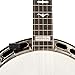D'Addario Accessories Micro Banjo Tuner - Multi-color display - Digital Tuner - Non Marring Hoop Bracket - Fast & Accurate Tuning - Visual Metronome