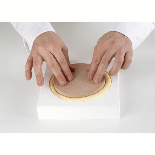 Silikomart Silicone Cylinder Mold 6-1/4 Inch Diameter x 2 Inch High