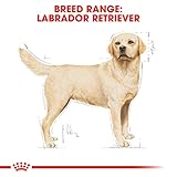 Royal Canin Labrador Retriever 30, 1er Pack (1 x 3 kg Beutel)