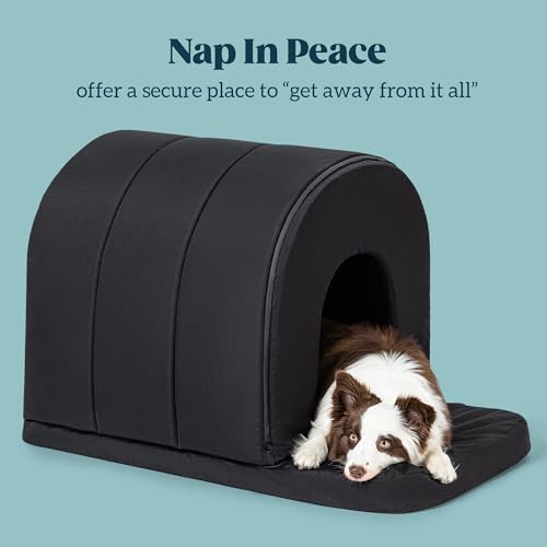 Orthopedic Dog House - Outdoor Waterproof Dog Shelter w/Porch - Indoor Pet House w/Egg-Crate Foam - Cooling - Machine Washable - Ideal for Large Breeds & Fits 36-Inch Crate - 35"x22" - Image 3