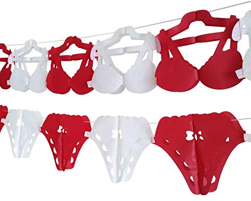 Yaniâ€™s Gifts Lingerie Party Decorations, Bra and Panties Tissue Paper Streamers Banner, 1 Bra and 1 Panty, Each Over 8.5 ft Long, Stag Party, Hen Party, Final Fiesta Bachelorette Party, Bridal Shower