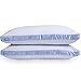 Sealy Firm Density Pillow Twin Pack - Hypoallergenic Down Alternative (Standard)