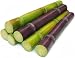 Fresh Sugar Cane (5lb)