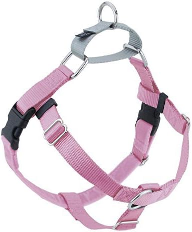 2 Hounds Design 859131002489 No-Pull Dog Harness with LeashXX-Large (1 Inch) Wide XXLRaspberry