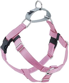 2 Hounds Design 859131002489 No-Pull Dog Harness with LeashXX-Large 1 Inch Wide XXLRaspberry