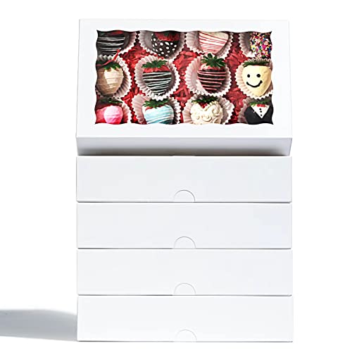 SLShePack 50 Pack 9 ½