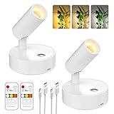 Olafus LED Wireless...image