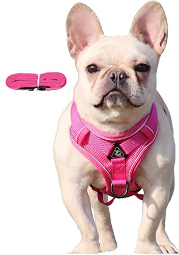 LVLUOKJ Harnais for Chien sans Traction for Animal de Compagnie, Harnais en Maille Souple réglable Respirant for Chiot Chat + Laisse, for Petits Chiens de Taille Moyenne (Color : Rose Red, Size : S) Cover