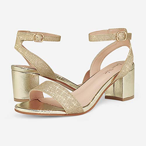 DREAM PAIRS Women's Open Toe Ankle Strap Low Block Chunky Heels Sandals Party Dress Pumps Shoes - Image 3