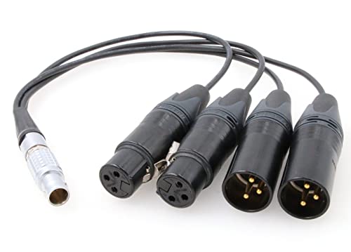 Câble 10 broches mâle vers 4 XLR pour Atomos Shogun Inferno