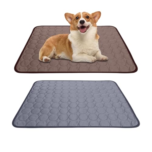 Leikurvo Kühlmatte Hunde Katzen Haustier, 60x50cm 2PCS Kuhlmatte für Hund und Katze Kühldecke Hundebett Waschbar Hundematte Selbstkühlende Matte...