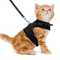 Algopix Similar Product 20 - PUPTECK Soft Mesh Cat Vest Harness and